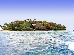 Slideshow Image